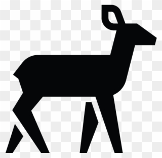 Gazelle Clipart Mule Deer - Clip Art - Png Download