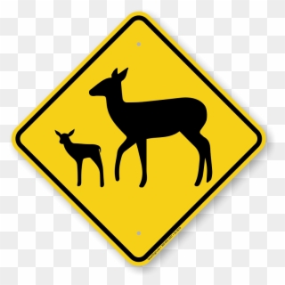 Deer - Road Sign In Sri Lanka Clipart
