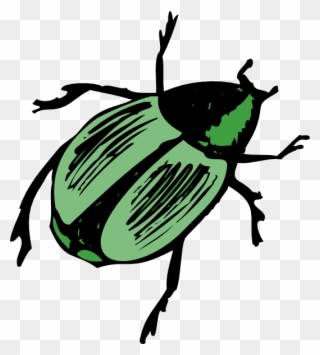 Shiny Green Beetle Clip Art - Beetle Clipart - Png Download