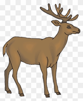 White Tailed Deer Clipart Rusa - กวาง Png Transparent Png