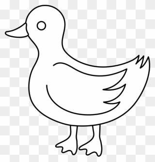 Other Popular Clip Arts - Duck Pic For Black In White Png Transparent Png