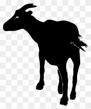 Clip Art At Getdrawings Com Free For - Goat Silhouette Png Transparent Png