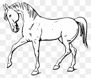 Farm Clipart Black And White - Horse Clipart Black And White Png Transparent Png