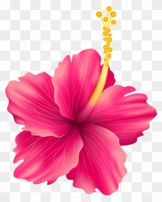 Flower Scalable Vector Graphics Clip Art Exotic - Png Download