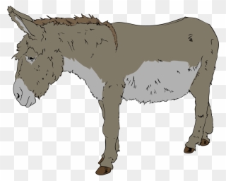 Donkey Clipart - Png Download