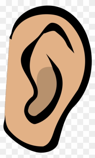 A Week Later, One Of The Nurses Complimented Me On - Ear Clip Art - Png Download