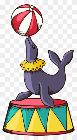 Dolphins Clipart Circus - Circus Sea Lion Png Transparent Png