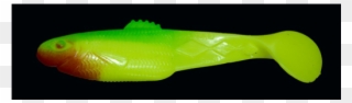 Diamond Shad 2,5" S021 Clipart