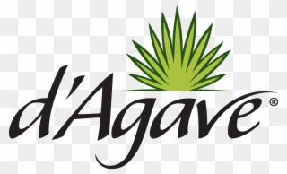 Agave Grows In The Arid Regions Of Mexico And Requires Clipart