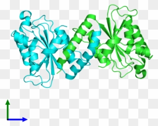 Pdb 3efy Coloured By Chain And Viewed From The Front Clipart