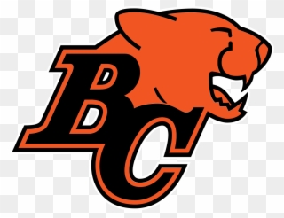 The Lions Usually Put A Good Team On The Field, Thusly Clipart