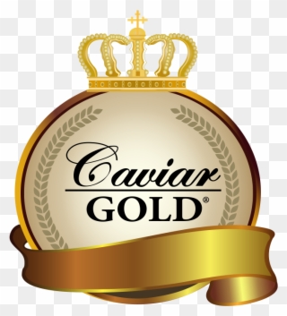 1234 Clipart
