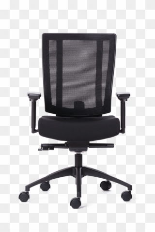 Best Office Chair For Lower Back Pain Clipart