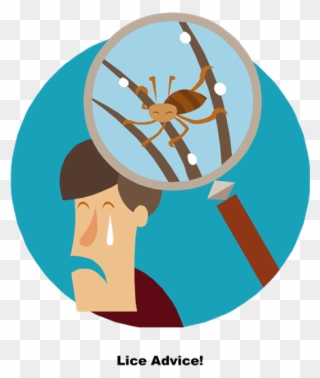 Lice Information Clipart