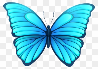 Butterfly Png Image Gallery Yopriceville High Quality Clipart