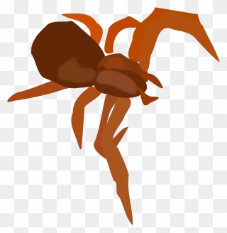 Arachnid Spider, Insect, Arachnid Clipart