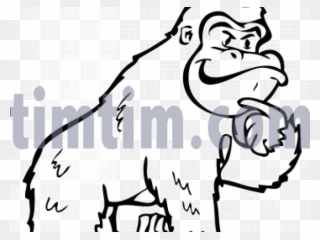 Drawn Gorilla Wild Animal Clipart