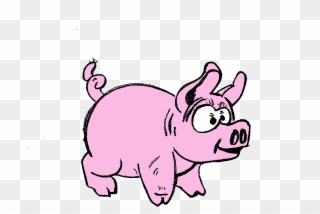 Wildcat Schwein Gif Clipart