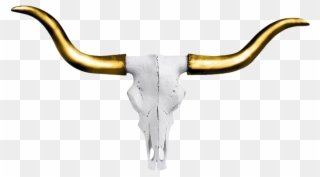 Mini Faux Texas Longhorn Cow Skull Wall Hanging Sculpture Clipart