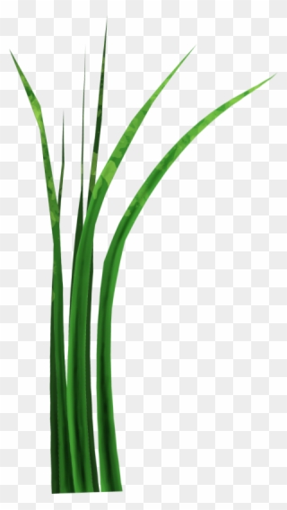 Вторник, 26 Февраля 2013 Г Clipart
