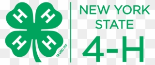 Nys Mission Vision Values New York State 4 H Youth Clipart