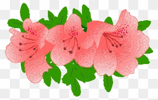 サツキ 皐 2 Gif画像 Clipart Pinclipart サツキ 皐 2 Gif画像 Clipart Pinclipart