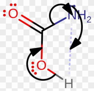 Carbamate Dissociates From The Active Site And Is Spontaneously Clipart