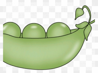 Lima Beans Clipart Bowl Pea - Png Download