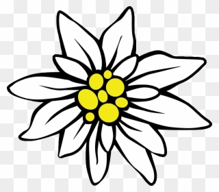 Free PNG Edelweiss Clipart Clip Art Download - PinClipart