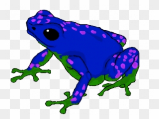 Poison Dart Frog Clipart Thumbnail - Png Download