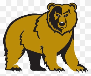Banner Black And White Library Bears Clipart Golden - Shelbyville Golden Bears - Png Download