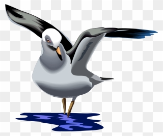 Seagull Clip Art Download - Png Animation Cartoon Pigeon Transparent Png