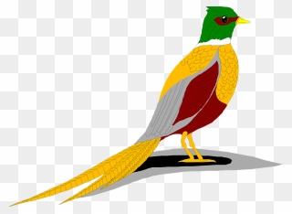 Seagulls Clipart - Ring Necked Pheasant Clip Art - Png Download