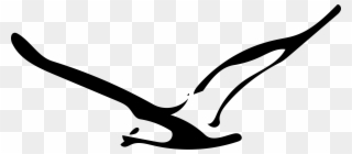 Download Clip Art Royalty Free Stock Swords Png Free - Seagull Transparent Black And White
