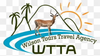 Wilson Tours Travel Agency - Travel And Tourism Clipart