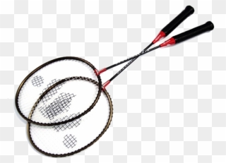 Bugs Drawing Egyptian - Badminton Racket Transparent Background Clipart