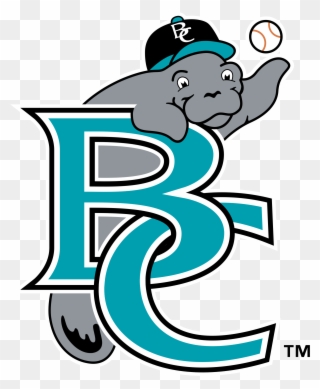 Brevard County Manatees Logo Png Transparent Vector Clipart