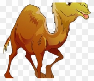Camel Clipart Camil - Png Download