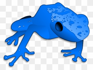 Poison Dart Frog Clipart Diagram - Png Download