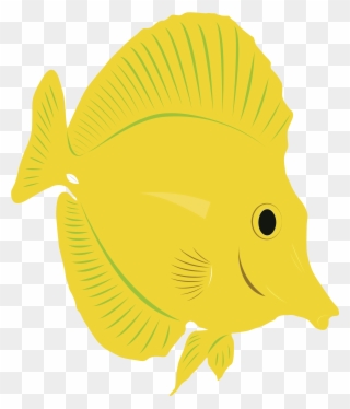 Yellow Tang Drawing At Getdrawings Clipart