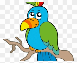 Parrot Clipart Budgie - Png Download