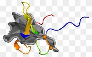 1 Crystal Structure Of Viral Macrophage Inflammatory Clipart