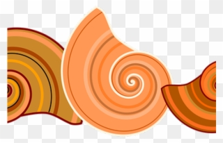 Spiral Clipart Snail Shell - Png Download