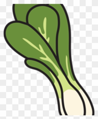 Bok Choy Clipart Transparent - Png Download