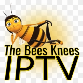 #iptv #streams #fhd #hd #m3u #deals #kodi The Best Clipart