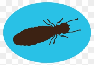 Termite Control Clipart