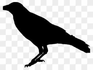 Crow Clipart Poe - Png Download
