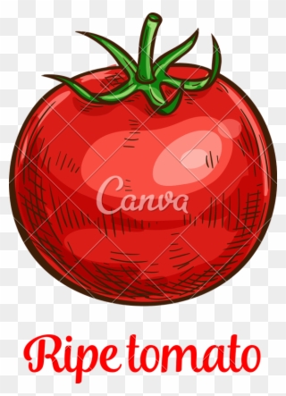 Tomato Clipart Buah - Png Download