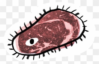 A Crude Drawing Of A Cell Is Overlaid Upon A Cut Of Clipart