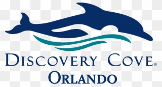 Seaworld Discovery Cove Clipart
